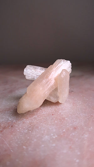 Premium Peach Stilbite Blade Cluster