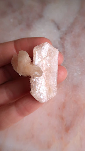 Premium Peach Stilbite Blade Cluster