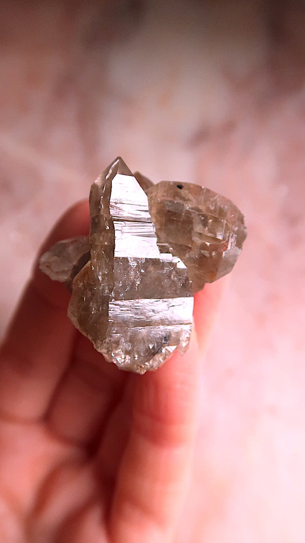 Smokey Elestial Quartz Cluster