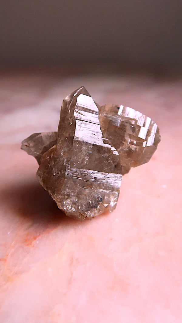 Smokey Elestial Quartz Cluster