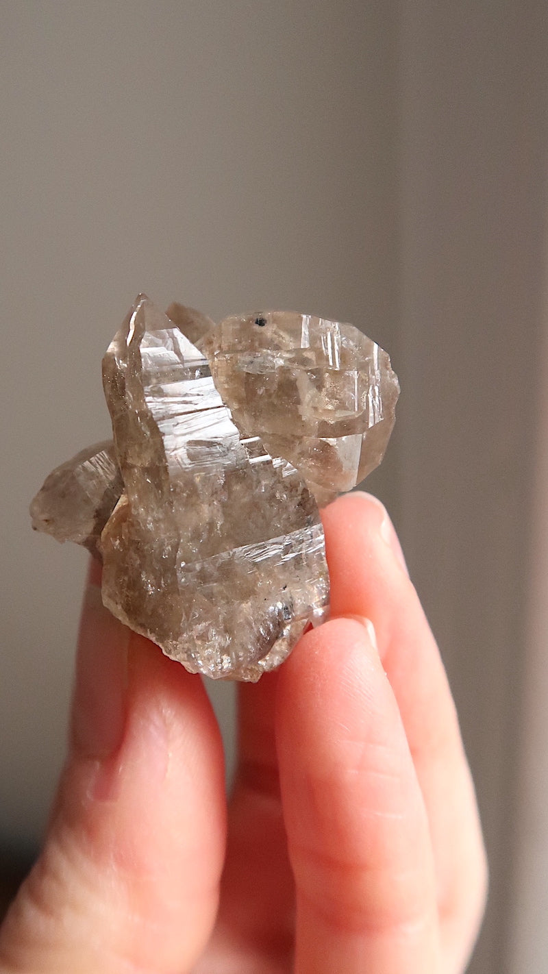 Smokey Elestial Quartz Cluster