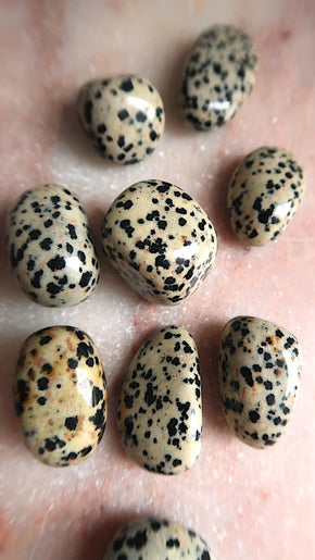 Dalmation Jasper Tumble