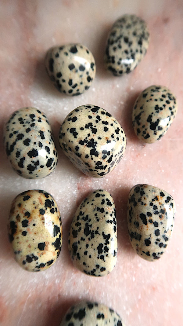 Dalmation Jasper Tumble
