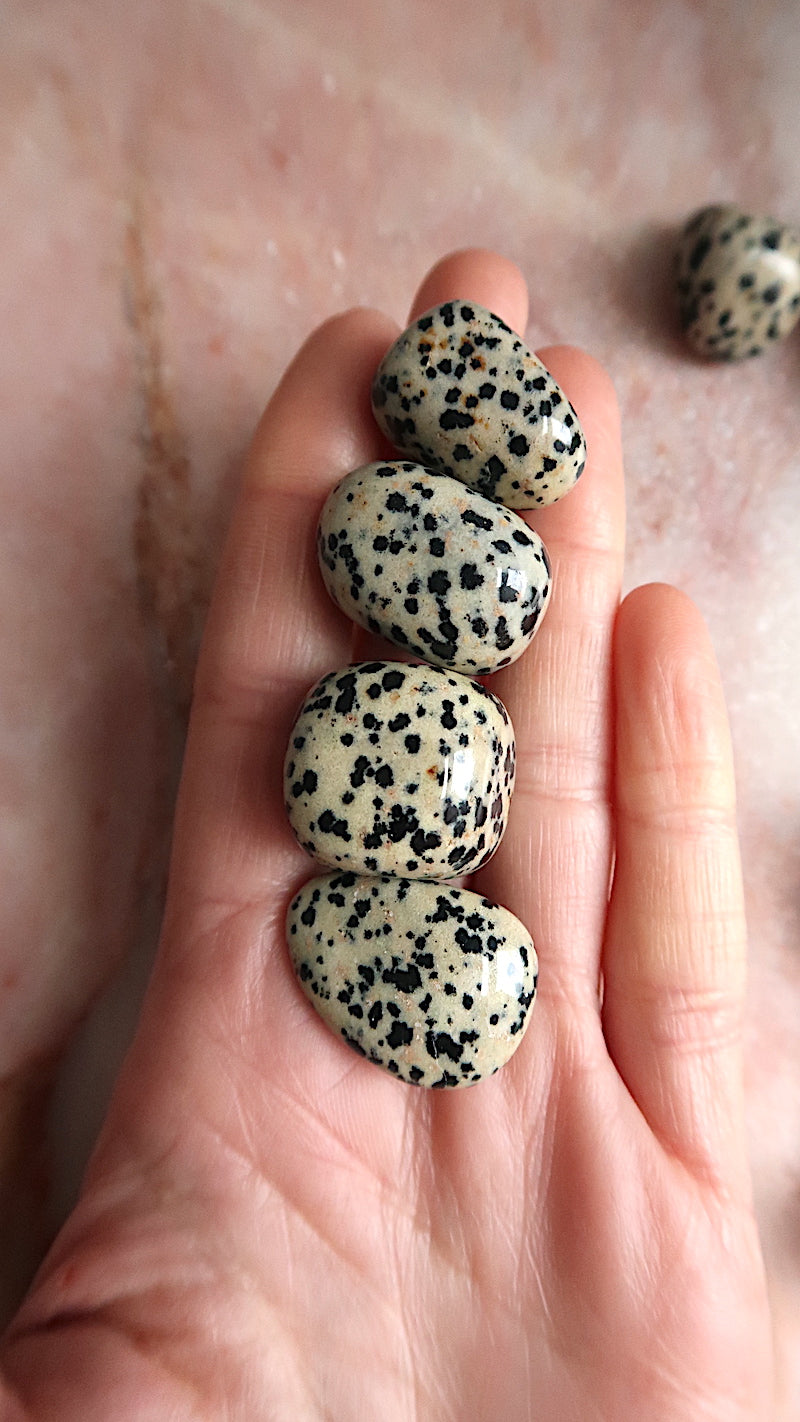 Dalmation Jasper Tumble