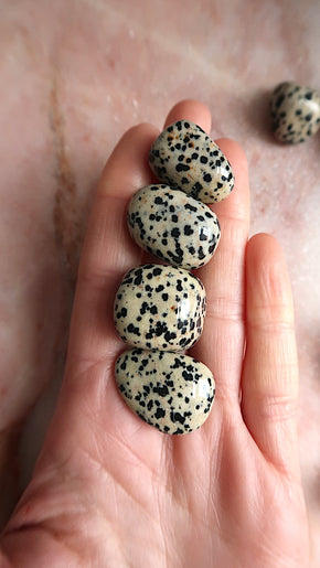 Dalmation Jasper Tumble