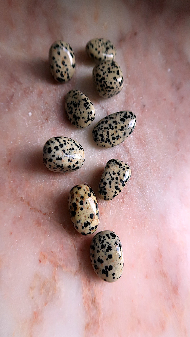 Dalmation Jasper Tumble