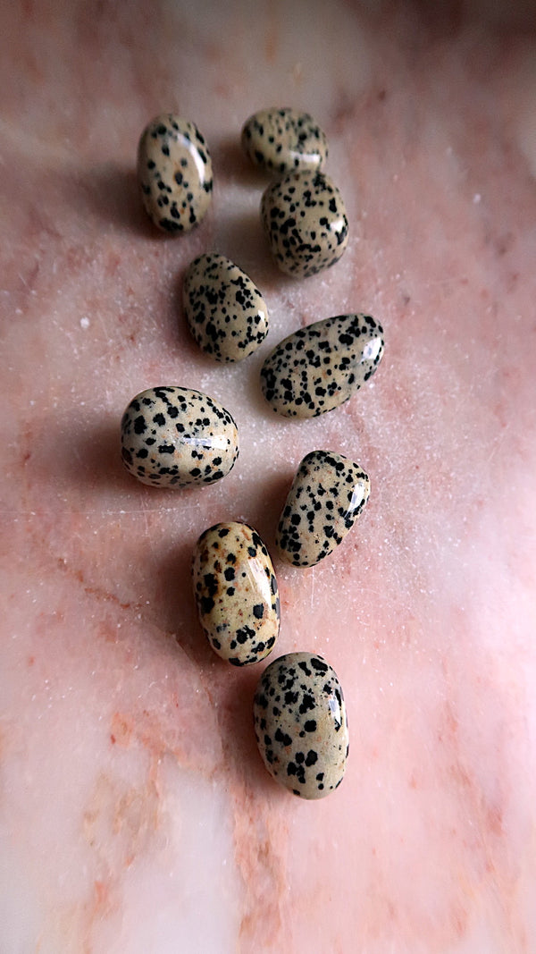 Dalmation Jasper Tumble