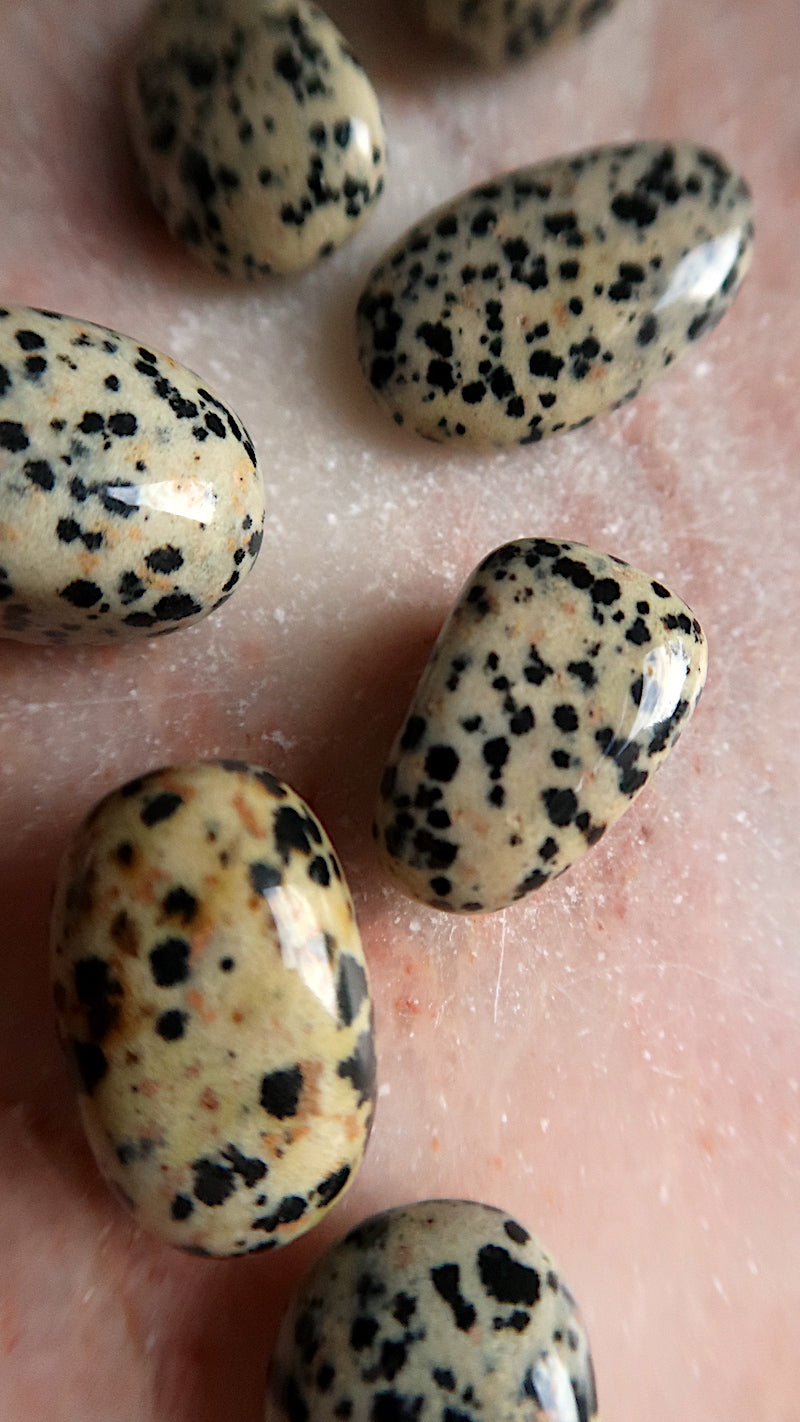 Dalmation Jasper Tumble