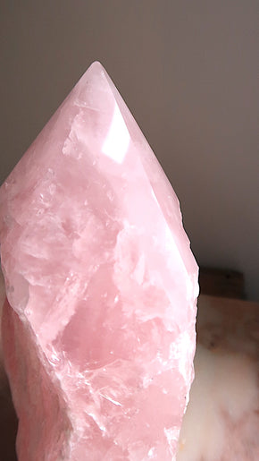 Extra Large Rose Quartz Point