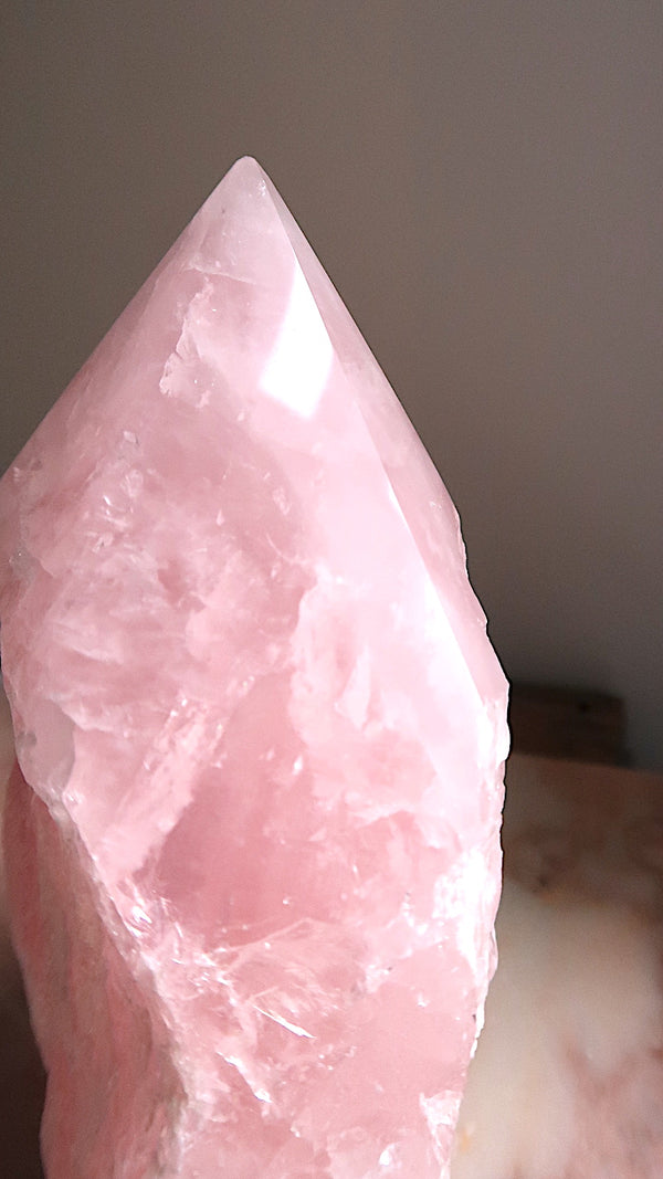 Extra Large Rose Quartz Point