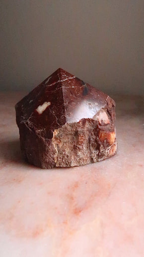 Petrified Wood Point