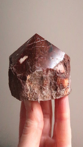 Petrified Wood Point