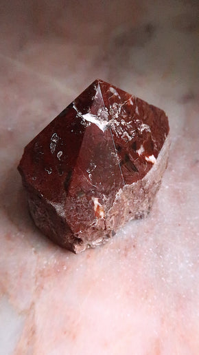 Petrified Wood Point