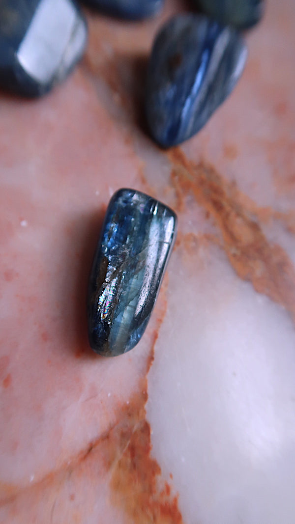 Premium Blue Kyanite Tumbles