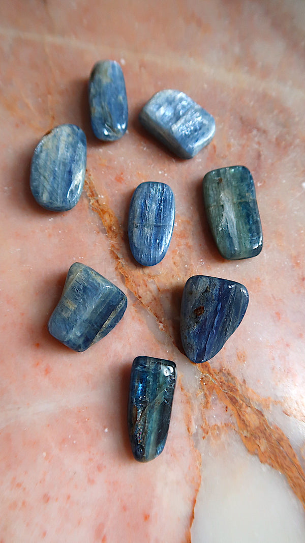 Premium Blue Kyanite Tumbles