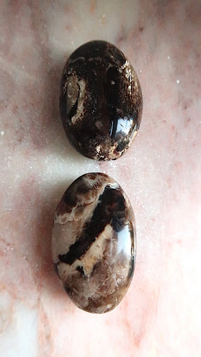 Brown Opal (part raw/polished)