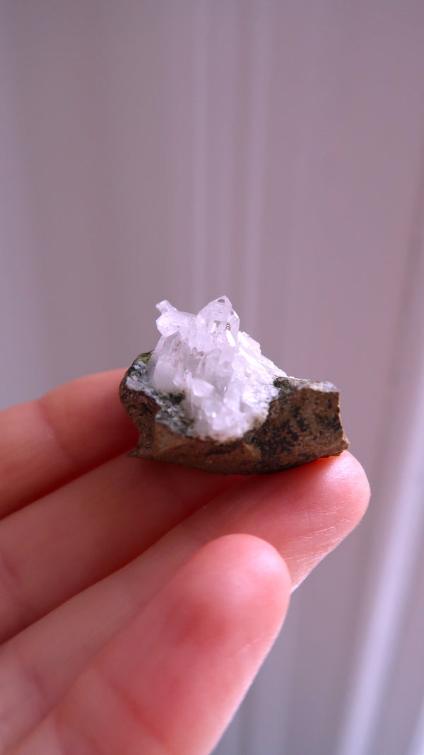 Small Harlequin Quartz Cluster