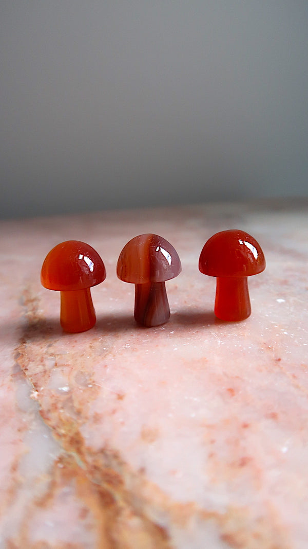 Mini Carnelian Mushrooms