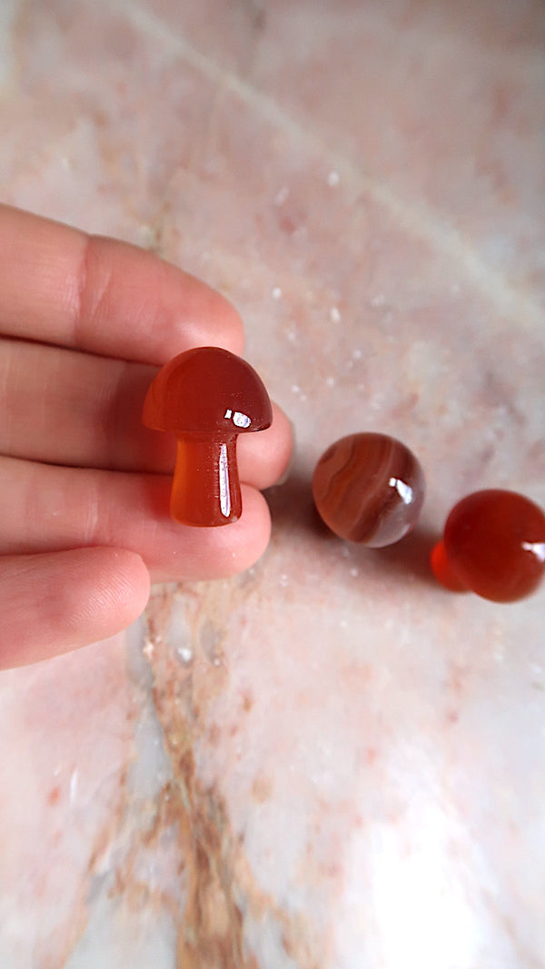 Mini Carnelian Mushrooms