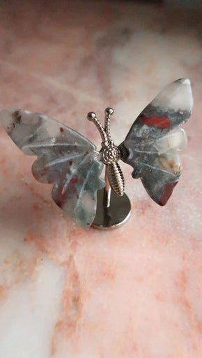 Bloodstone Butterfly