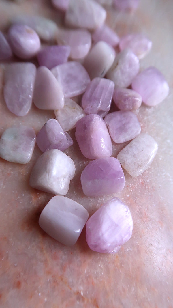 Extra Small Pink Kunzite Tumbles