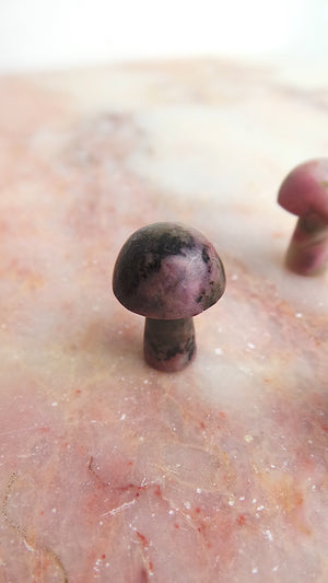 Small Rhodonite Mushroom