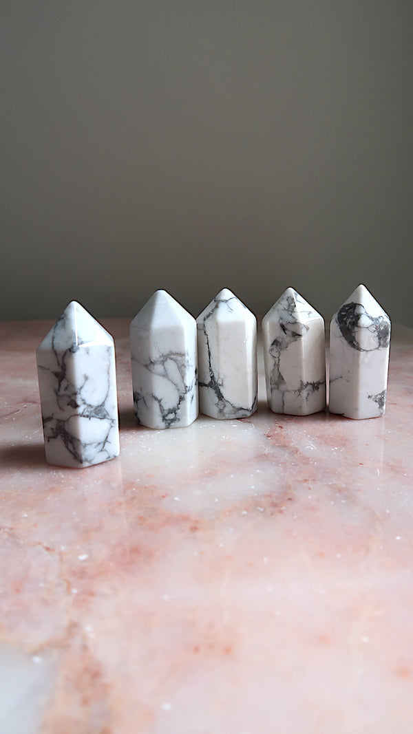Small Howlite Points
