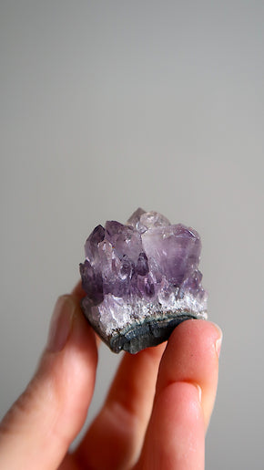 Small Amethyst Clusters