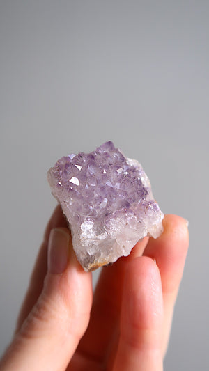 Small Amethyst Clusters