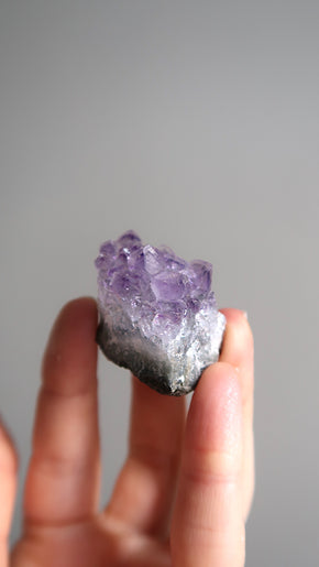 Small Amethyst Clusters